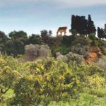 Beni culturali da salvare, questi sconosciuti