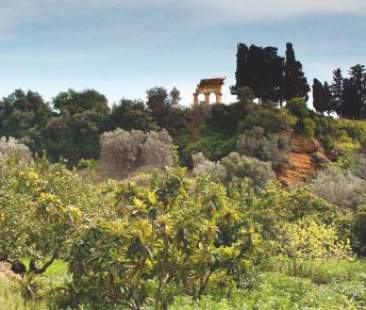 Beni culturali da salvare, questi sconosciuti