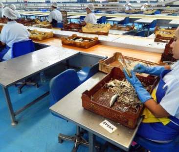 Otto mln per la valorizzazione del comparto ittico siciliano Otto mln per la valorizzazione del comparto ittico siciliano