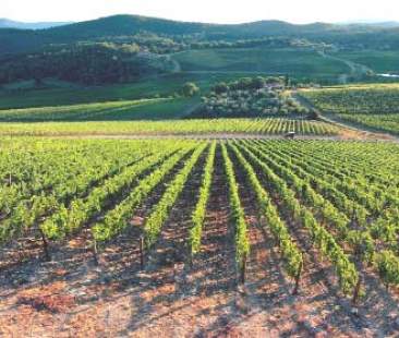 Psr 2014-2020, pubblicate le nuove graduatorie Psr 2014-2020, pubblicate le nuove graduatorie