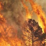 Sicilia seconda regione per numero di incendi tra gennaio e luglio