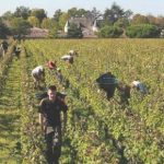 Cooperative e consorzi agricoli: firmato l’accordo per il 2016-2019