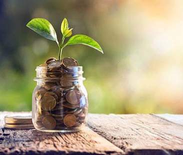 In 10 anni raddoppiati gli investimenti nella finanza verde In 10 anni raddoppiati gli investimenti nella finanza verde