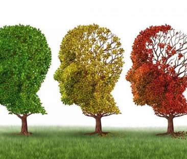 Alzheimer, check-up mentale da 55 anni Alzheimer, check-up mentale da 55 anni