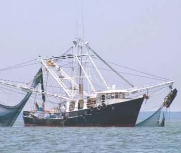 Pesca, nuove linee di credito per favorire investimenti