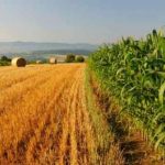 Sviluppo rurale antidoto alla povertà