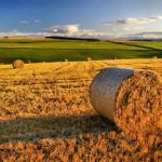 Politiche europee per l’agricoltura. Zero benefici per l’export siciliano