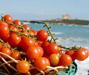 Senza made in Sicily crolla l’export Senza made in Sicily crolla l’export
