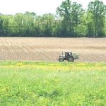 Psr 2014-2020, agricoltori siciliani stremati da burocrazia e ritardi