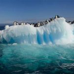 È appena stato creato in Antartide il più grande parco marino mondiale