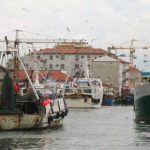 Graduatoria dei Flag: finanziati 16,5 mln di euro