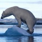 Gli effetti dell’uragano Trump sulle politiche ambientali