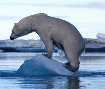 Gli effetti dell’uragano Trump sulle politiche ambientali