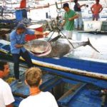 Dall’Ue un duro colpo alla pesca italiana