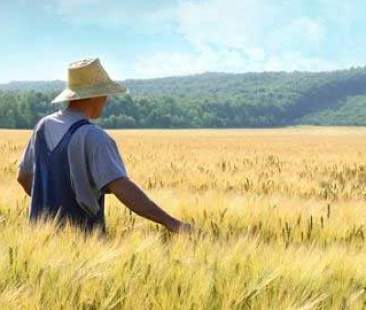 Agroalimentare e rinnovo settore in arrivo pioggia di fondi Feasr