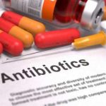 In futuro le infezioni si cureranno  utilizzando i batteri predatori