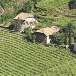 In arrivo 100 mln per investimenti in agricoltura