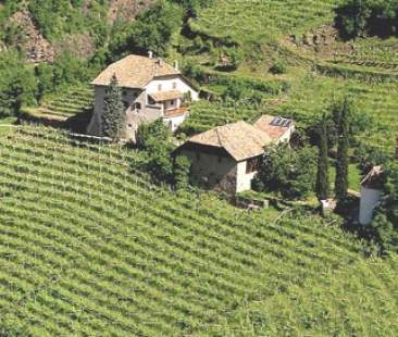 In arrivo 100 mln per investimenti in agricoltura In arrivo 100 mln per investimenti in agricoltura