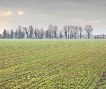 Psr Sicilia 2014-20, tutela dell’ambiente e miglioramento del sistema viario