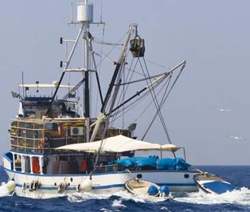 3 mln di euro per la pesca sostenibile