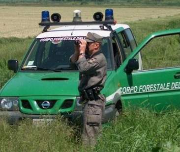 Forestali, in Sicilia non cambia niente