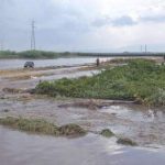 Il maltempo mette in ginocchio l’orticoltura