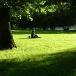 Verde urbano contro lo smog, ma in Sicilia prevale il grigio