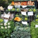 “Biologico 2013”, la Regione copre i contributi