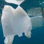 Dire “No” alla plastica per difendere il mare