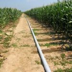 Bonifiche, acqua e conti a perdere