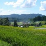 L’erbaccia che mette in crisi l’agricoltura