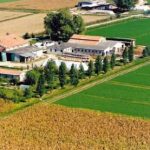 Sostegno alle aziende agricole. Musumeci: “Bando con molte incongruenze”