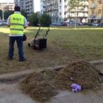 Palermo – Reset, conti in miglioramento ma il personale costa 35,5 mln