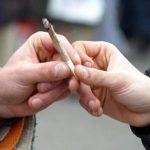 L’uso di marijuana pericoloso per il cervello degli adolescenti