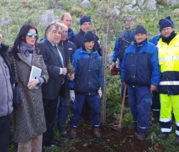 Palermo – Un albero per ogni nuovo nato