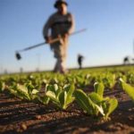 Psr Sicilia, aumenta al 70% il contributo a fondo perduto