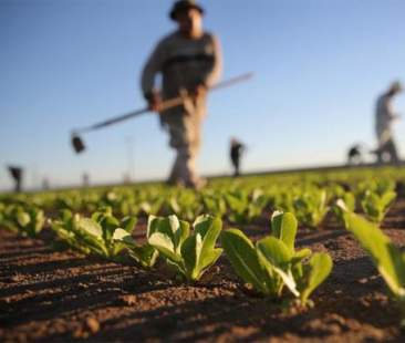 Psr Sicilia, aumenta al 70% il contributo a fondo perduto