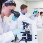 Una molecola contro l’invecchiamento scoperta grazie a una ricerca dell’Ifom