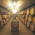 Settore vitivinicolo, investimenti da 13 mln