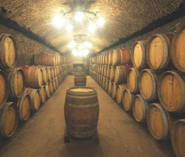 Settore vitivinicolo, investimenti da 13 mln Settore vitivinicolo, investimenti da 13 mln