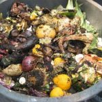 Aumenta la raccolta dell’organico. Il Sud fermo a 70,2 kg pro capite