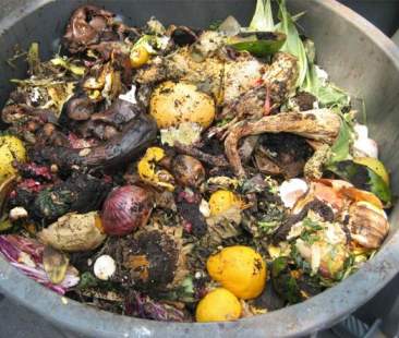 Aumenta la raccolta dell’organico. Il Sud fermo a 70,2 kg pro capite Aumenta la raccolta dell’organico. Il Sud fermo a 70,2 kg pro capite