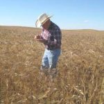 La burocrazia tra l’agricoltura e i giovani