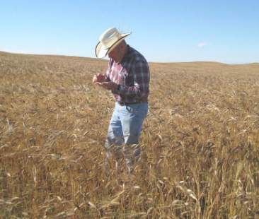 La burocrazia tra l’agricoltura e i giovani