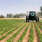 Catania – Truffa ai danni dello Stato, 500 falsi braccianti agricoli