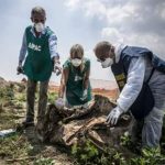 Ecoreati, in Sicilia nessun gettito. Nel resto d’Italia 4 milioni di euro