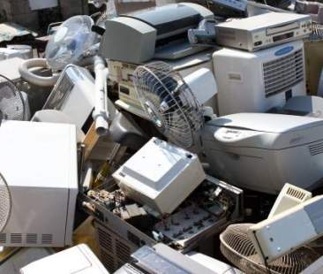 Raee, raccolta isolana in aumento. Catania è prima con 5 mln di kg