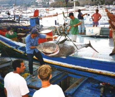 Pesca e agricoltura comparti a rischio