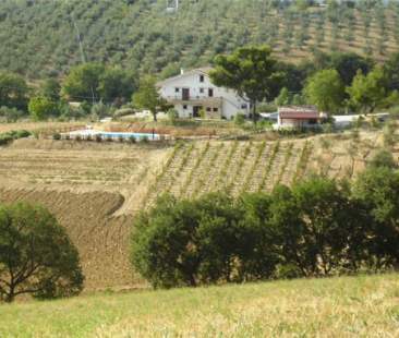 Imprenditoria agricola, possibile diversificare