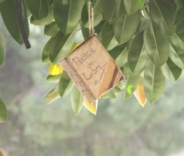 Speciale Catania 2017 – A maggio Catania celebra i libri e i lettori